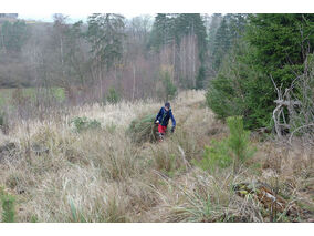 Es weihnachtet in St. Crescentius (© Karl-Franz Thiede)